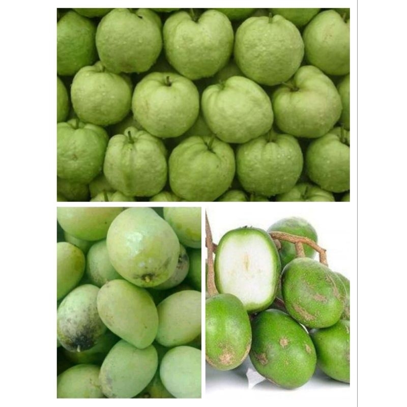 

MANGGA MUDA.KEDONGDONG.JAMBU KRISTAL ISI 1KG