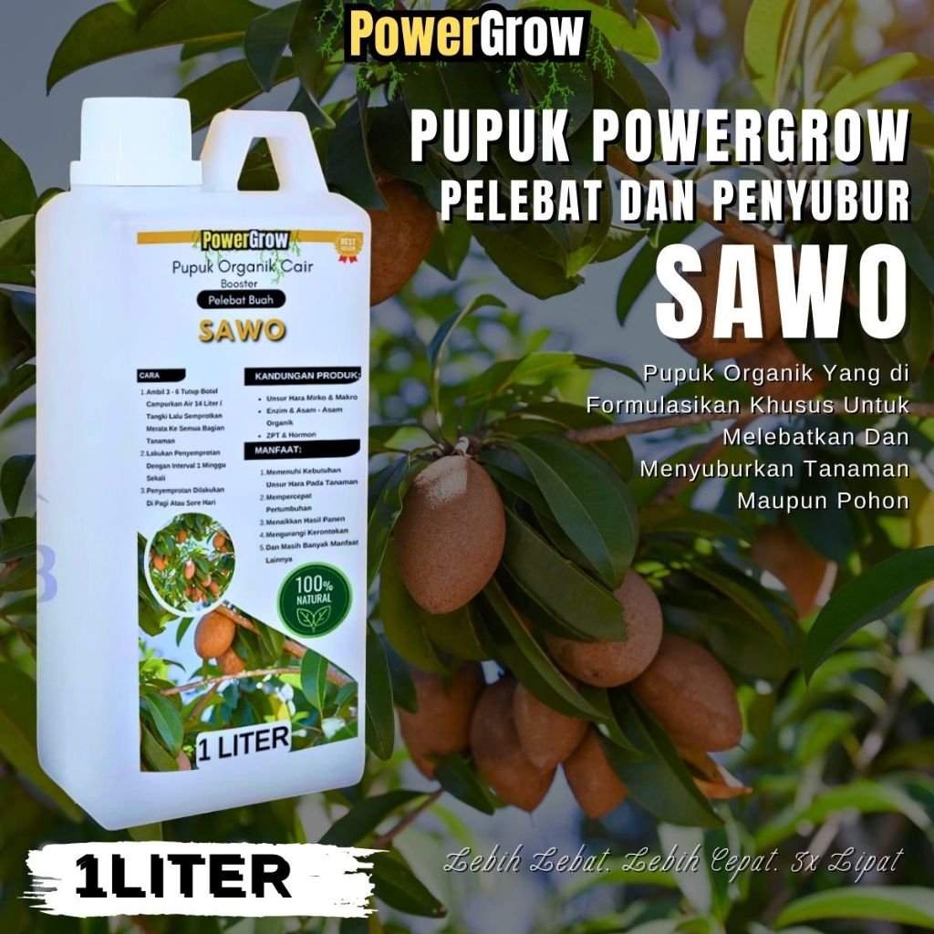 Pupuk Buah Sawo Perangsang Pembungaan Dan Pembuahan Booster Sawo Pelebat Penyubur Buah Anti Rontok