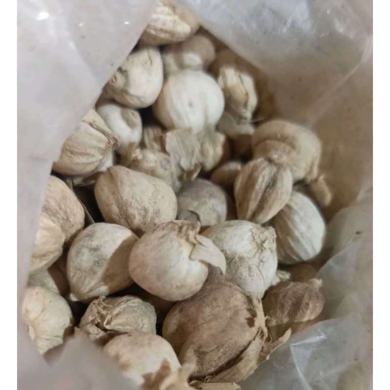 

Kapulaga/Kapol Ukuran 50g/100g/250g