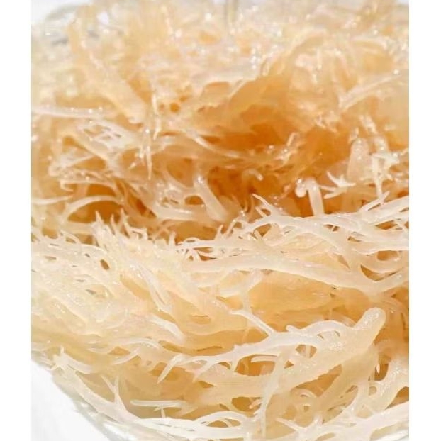 

Rumput Laut Es 250g