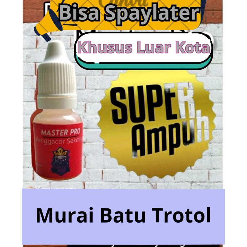 (bisa spaylater) Murai Batu Bird Plus
