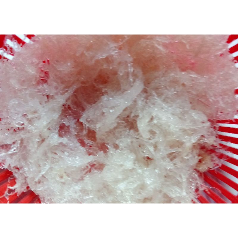 

Murah✅cod bird nest sarang walet indonesia