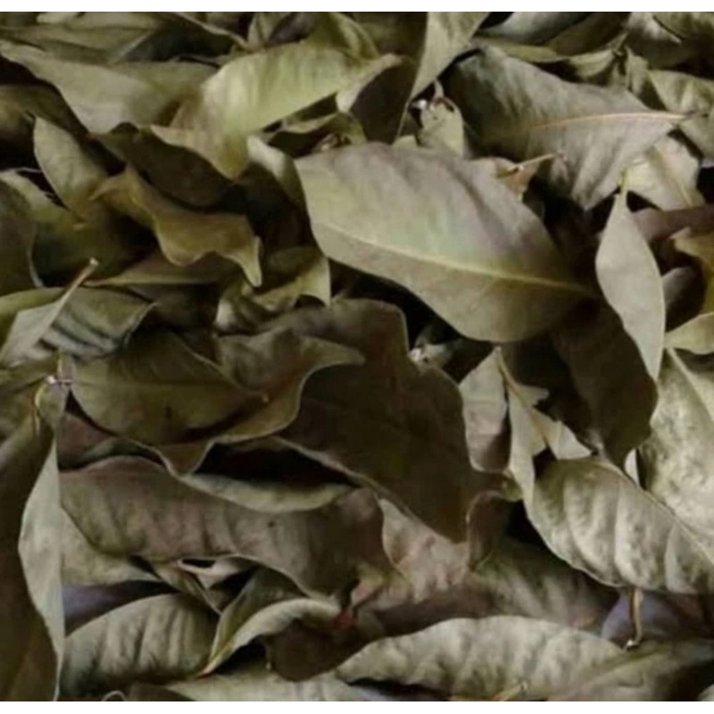 

Daun Salam Kering 250 Gram