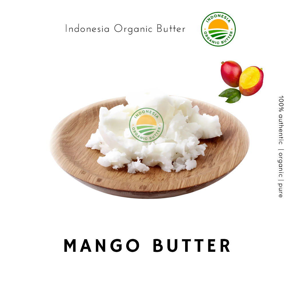 

Mango Butter Mango Seed Butter Mentega Biji Mangifera Indica 100 GR