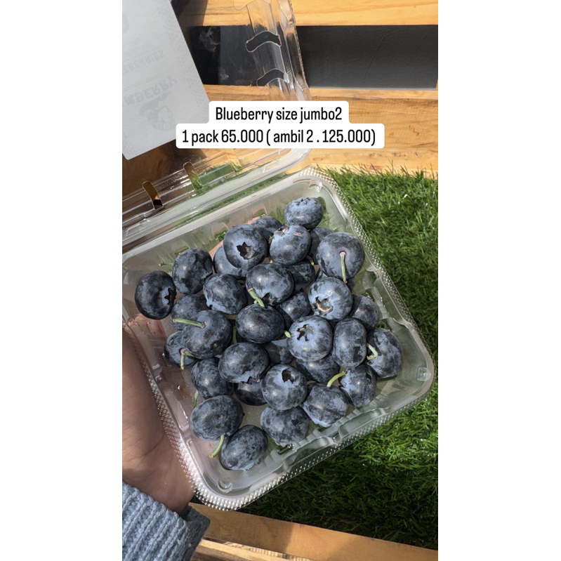 

blueberry Fresh import