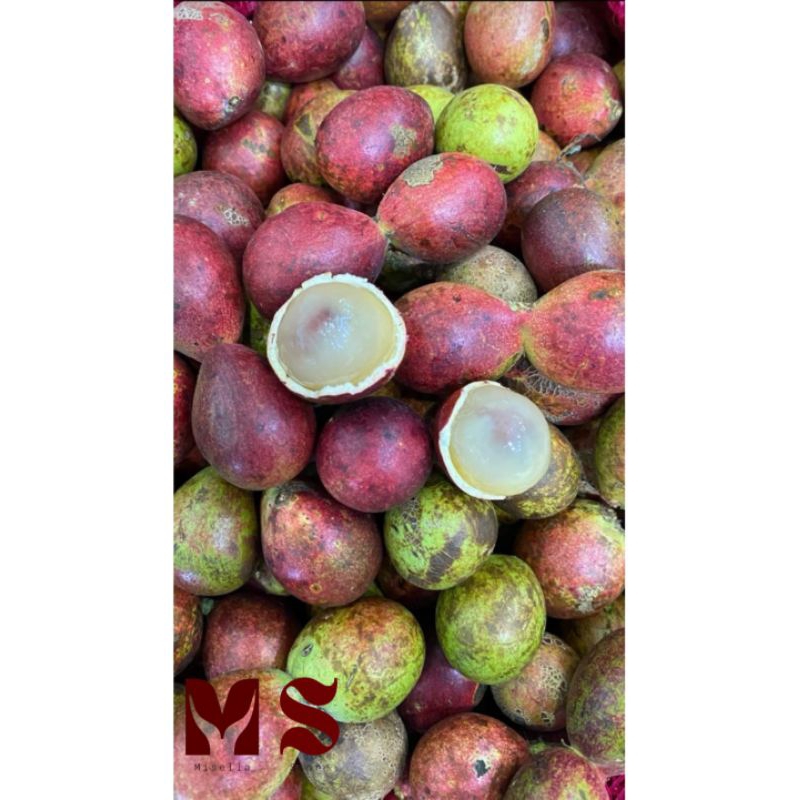 

Matoa Manis Segar Berat 800 Gram
