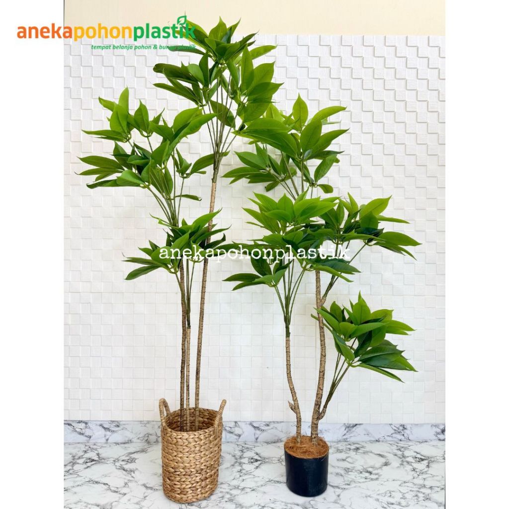 Pohon Artificial Pohon Imitasi Daun Manggis Variasi Tinggi 150 & 170 Cover Eceng Gondok Handle Hiasa