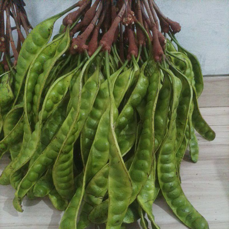 

pete super murah 5 papan