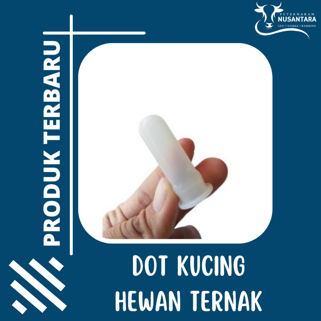 Berkualitas Dot Kucing - Dot Botol anak Kucing Termurah