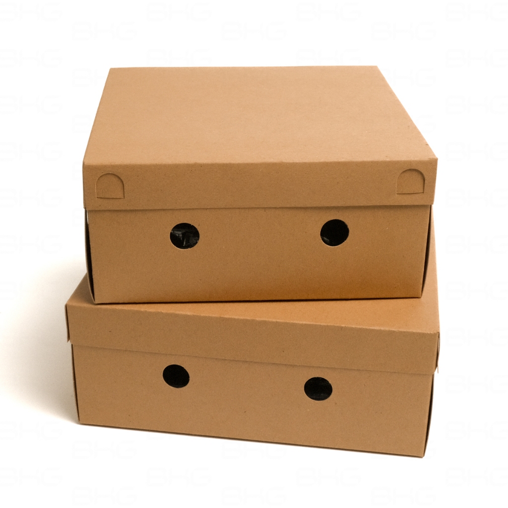 Dus Nasi Kraft 20x20 cm Kotak Samson Box Makanan TPS Cokelat