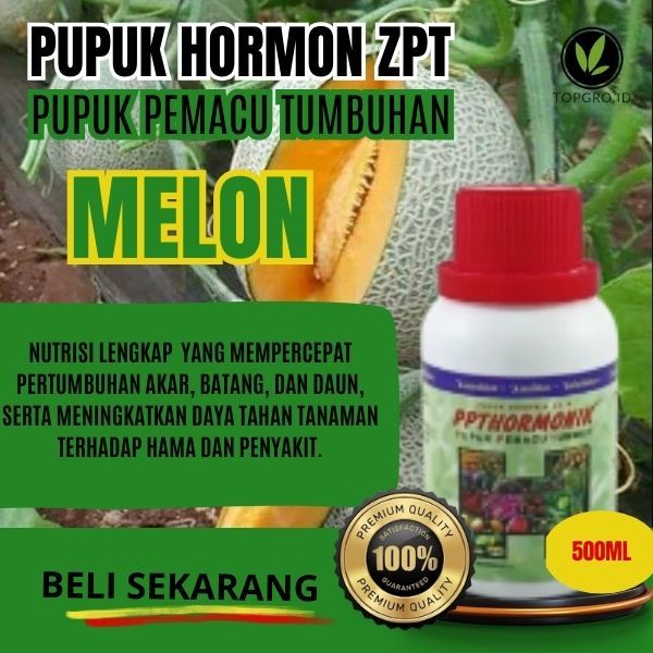 Pupuk ZPT Perangsang Buah Bunga Akar Batang Tanaman Penyubur Bunga Buah Melon / ZPT Pemacu Melon