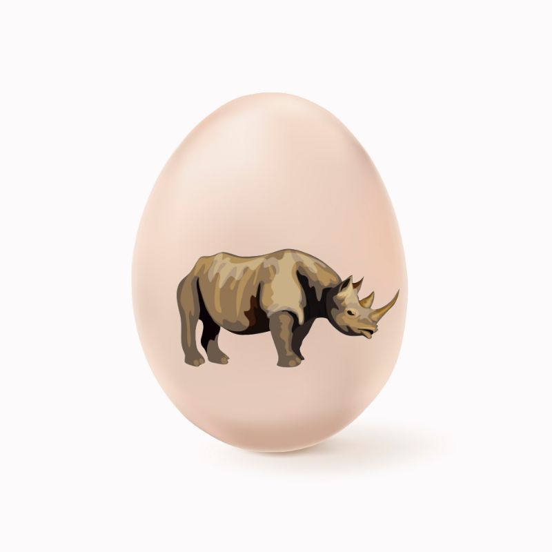 

Telur Ayam Negri Fresh wild animal series