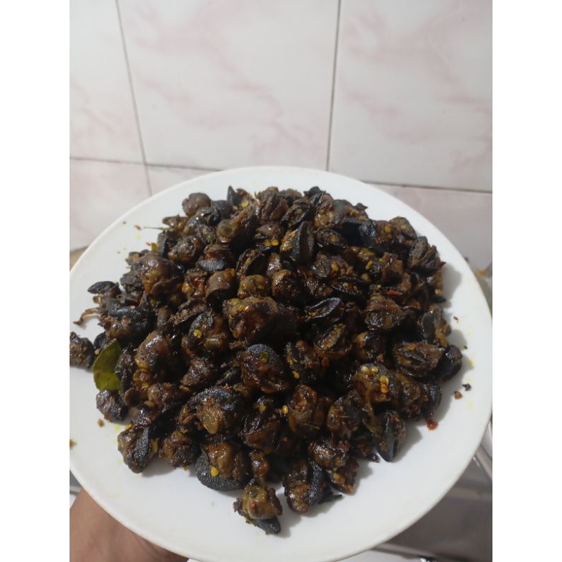 

RICA RICA BEKICOT ( 02 ) BERAT 2 kg