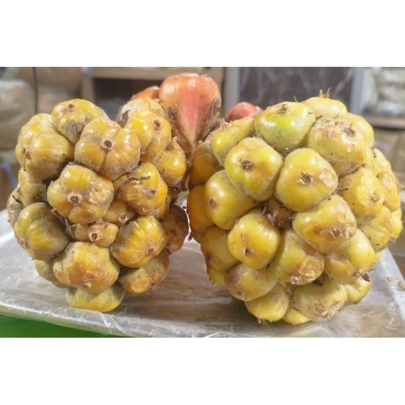

Asam Sihala/Patikala/Cikala khas Medan 1kg