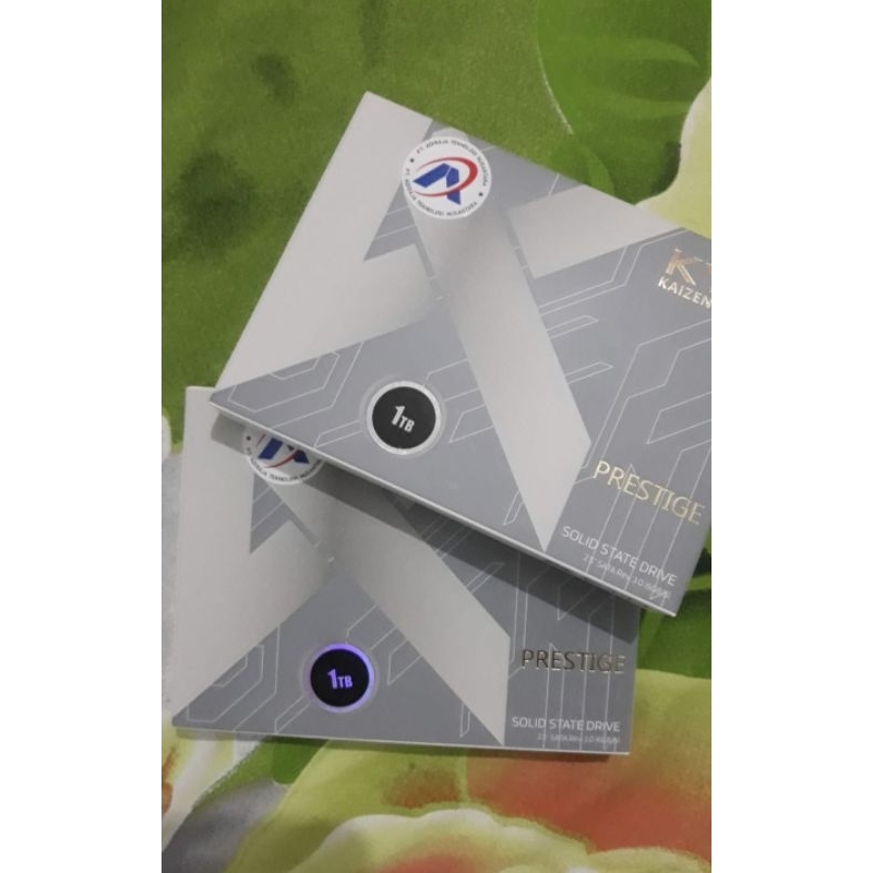 HardiskKYOkaizenseries1TeraBait