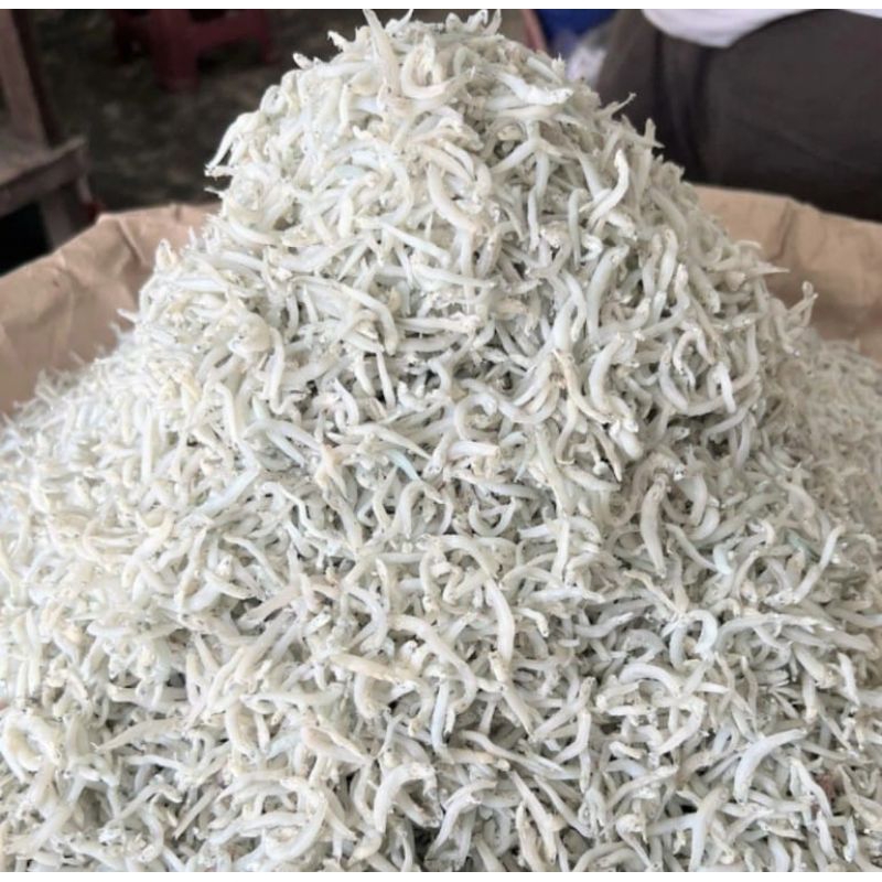 

Teri nasi/teri Medan kualitas premium