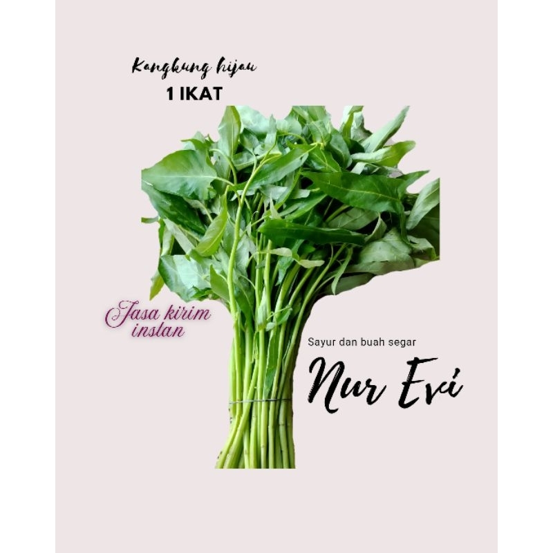 

KANGKUNG HIJAU SEGAR 1 IKAT