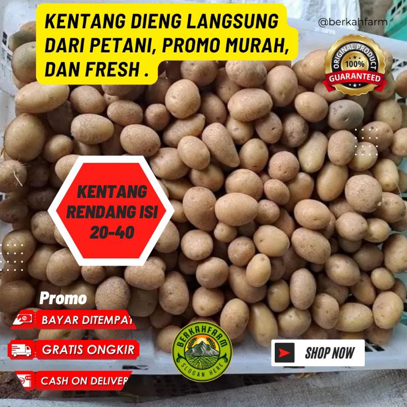 

kentang rendang 1 kg baby kentang promo petani