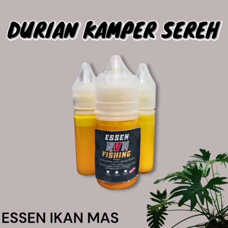 Essen DURIAN KAMPER SEREH ikan mas