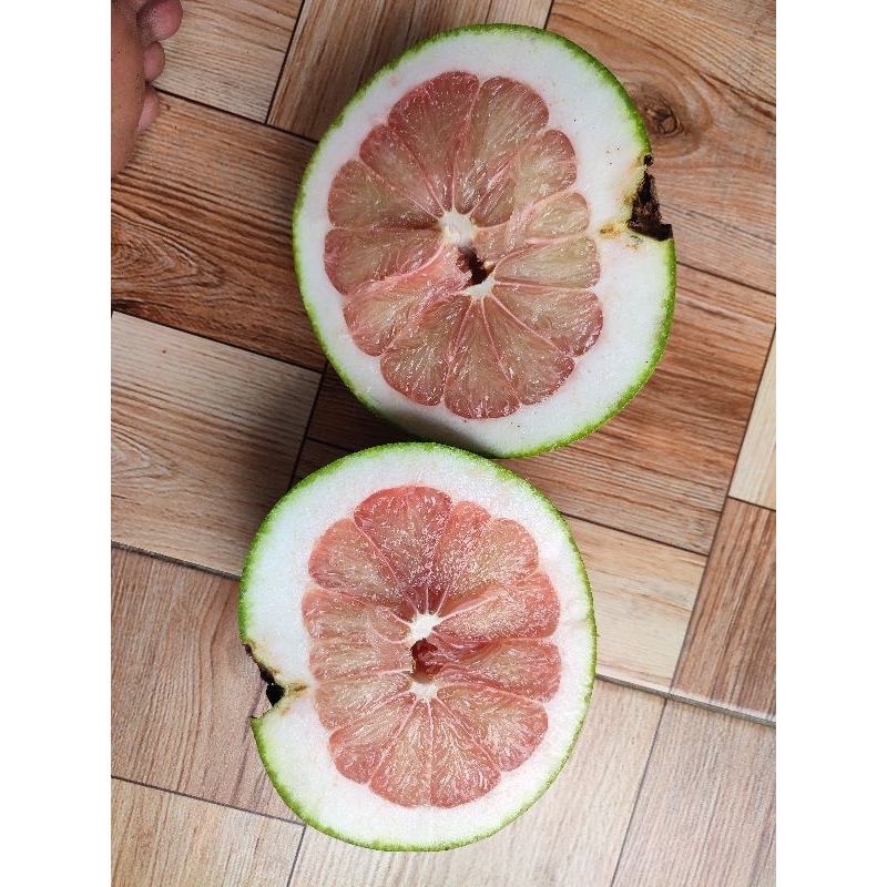 

Jeruk Pamelo Madu Spek Kupas berat 20Kg.