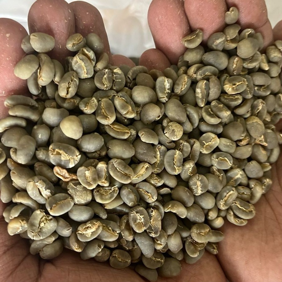 

Kopikina Biji Kopi GB Green Bean Arabika Gayo Bener Meriah G1