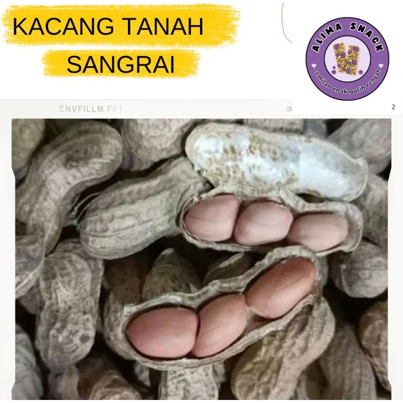 

Kacang Kulit Sangrai / Kacang tanah / Kacang Sangrai Madura 250 gram 500 gram 1kg renyah