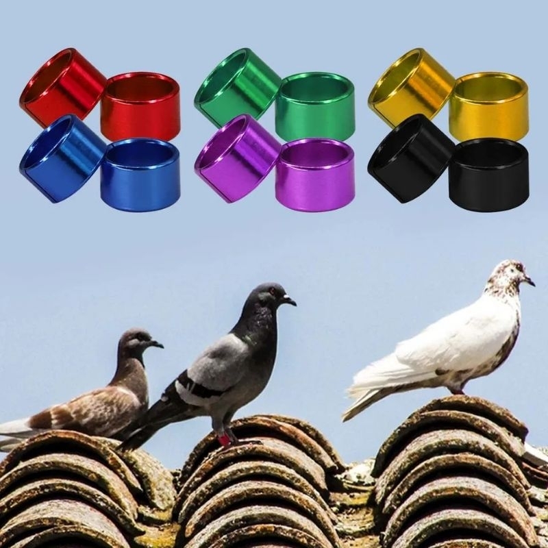 RING BURUNG MERPATI LOVEBIRD PERKUTUT MURAI KENARI PENTET JALAK PUTER POLOS TANPA IDENTITAS