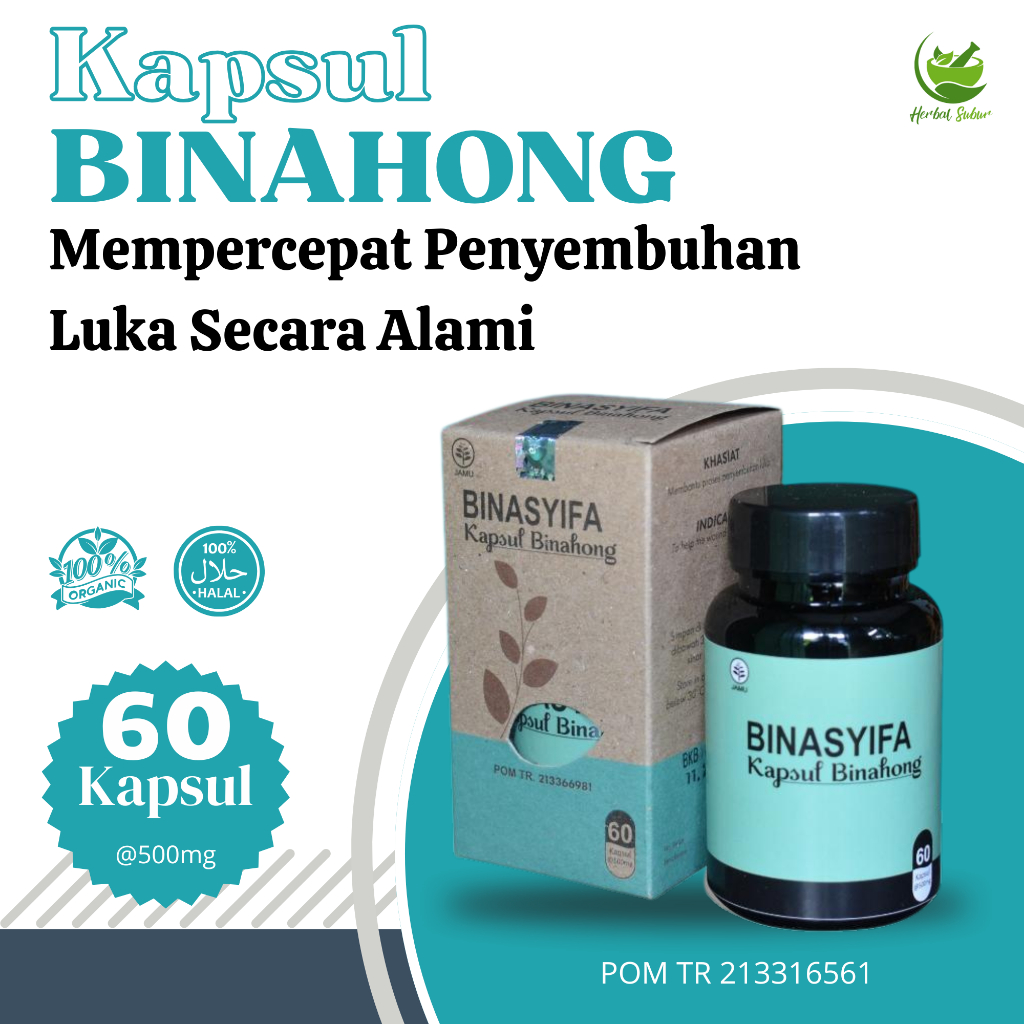Kapsul Binahong Binasyifa Kapsul Ekstrak Daun Binahong Original