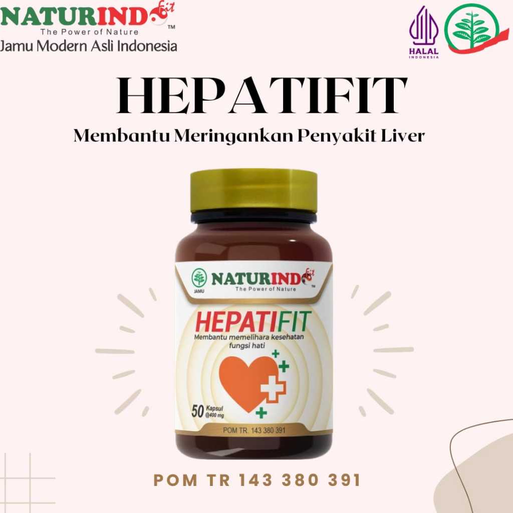 Hepatifit Obat Herbal Liver Naturindo
