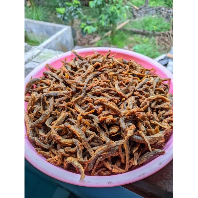 iwak uceng dan iwak unjar goreng