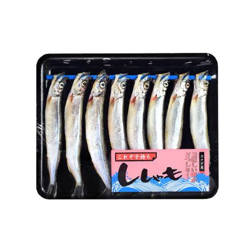 

ikan shisamo premium banyak telur | ikan cipung