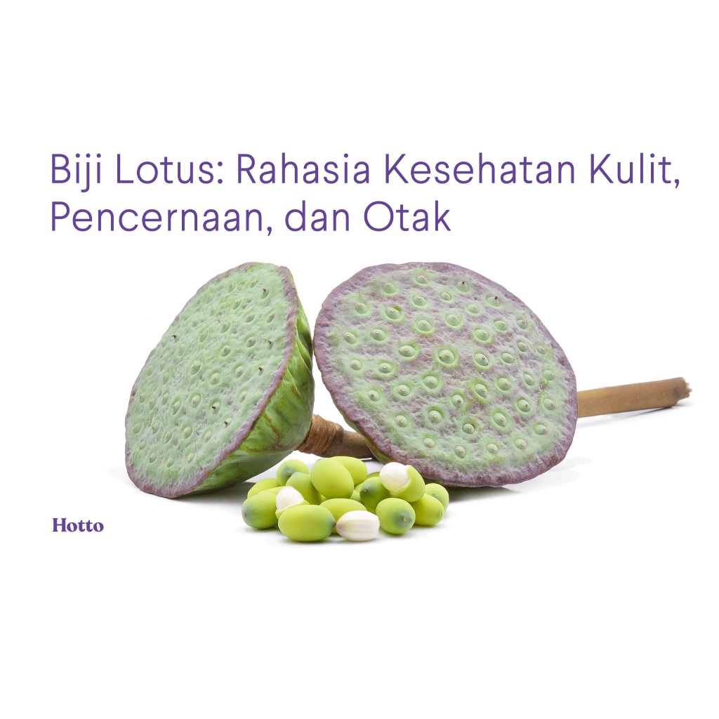 

Biji Teratai / Biji Lotus / Lotus Seed Fresh 500 Gram