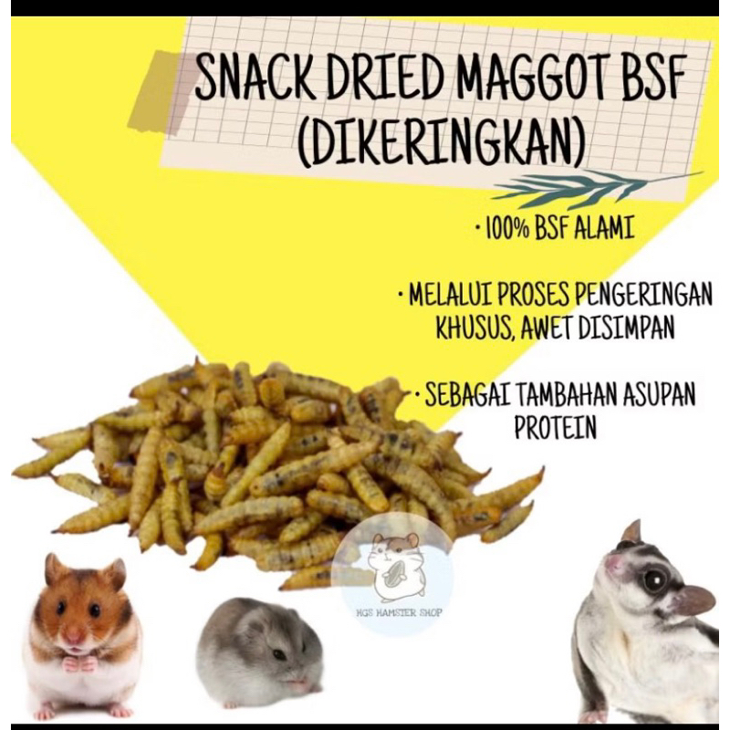 Mealworm dried maggot larva kering BSF Sugar glider food