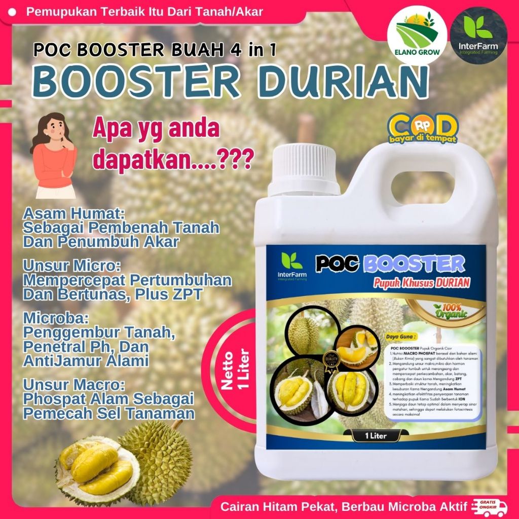 Pupuk pelebat buah durian, Pupuk Booster tanaman durian, Pupuk cair organik untuk durian ELANOGROW