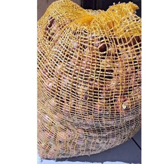 

bawang merah 10 kg