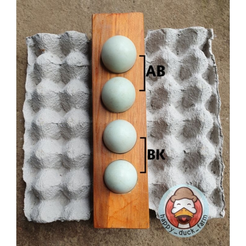 

Telur Bebek Mentah Omega3 Premium fresh 15pcs . Grade BK