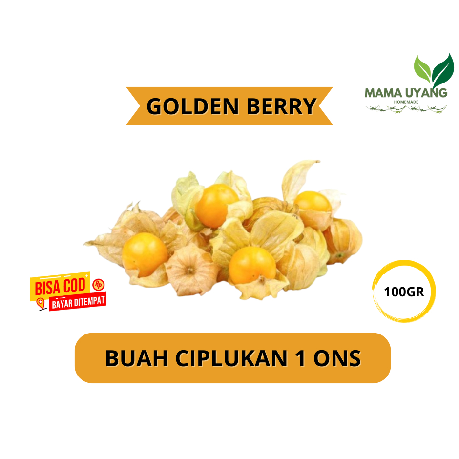 

JUAL BUAH CIPLUKAN MURAH 100GRAM/1ONS GOLDEN BERRY