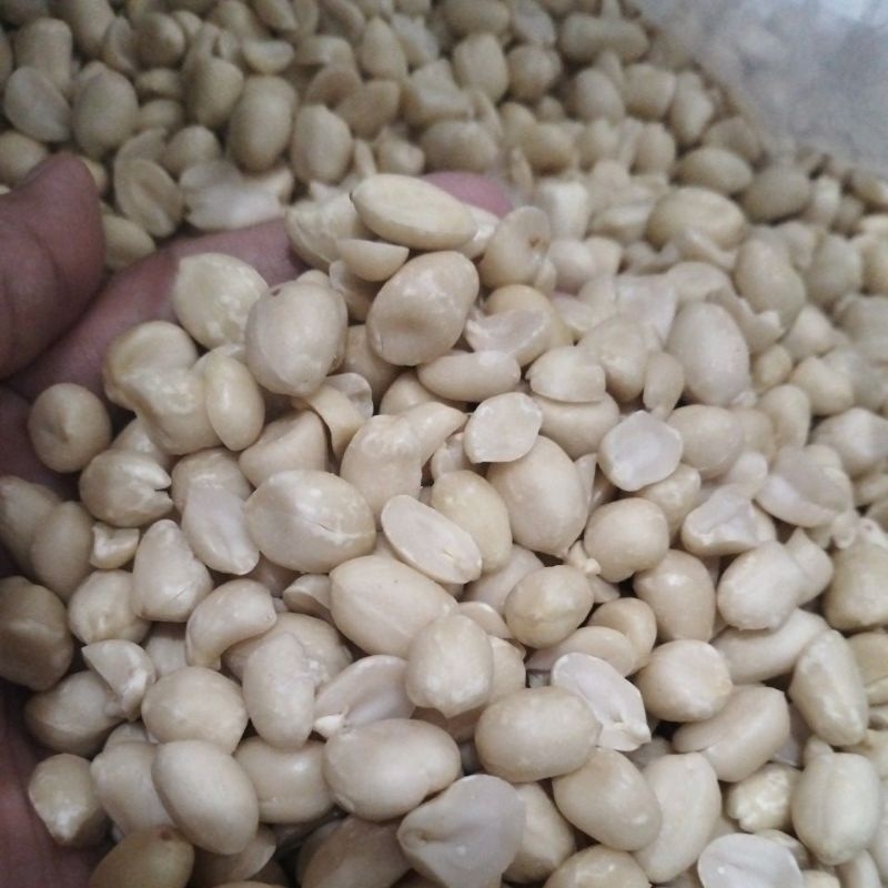 

KACANG TANAH KUPAS