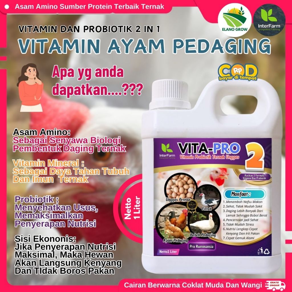Vitamin Ayam Cepat Besar, Pakan Ayam Kampung Cepat Besar, Vitamin Ayam Pedaging ELANOGROW 1 Liter