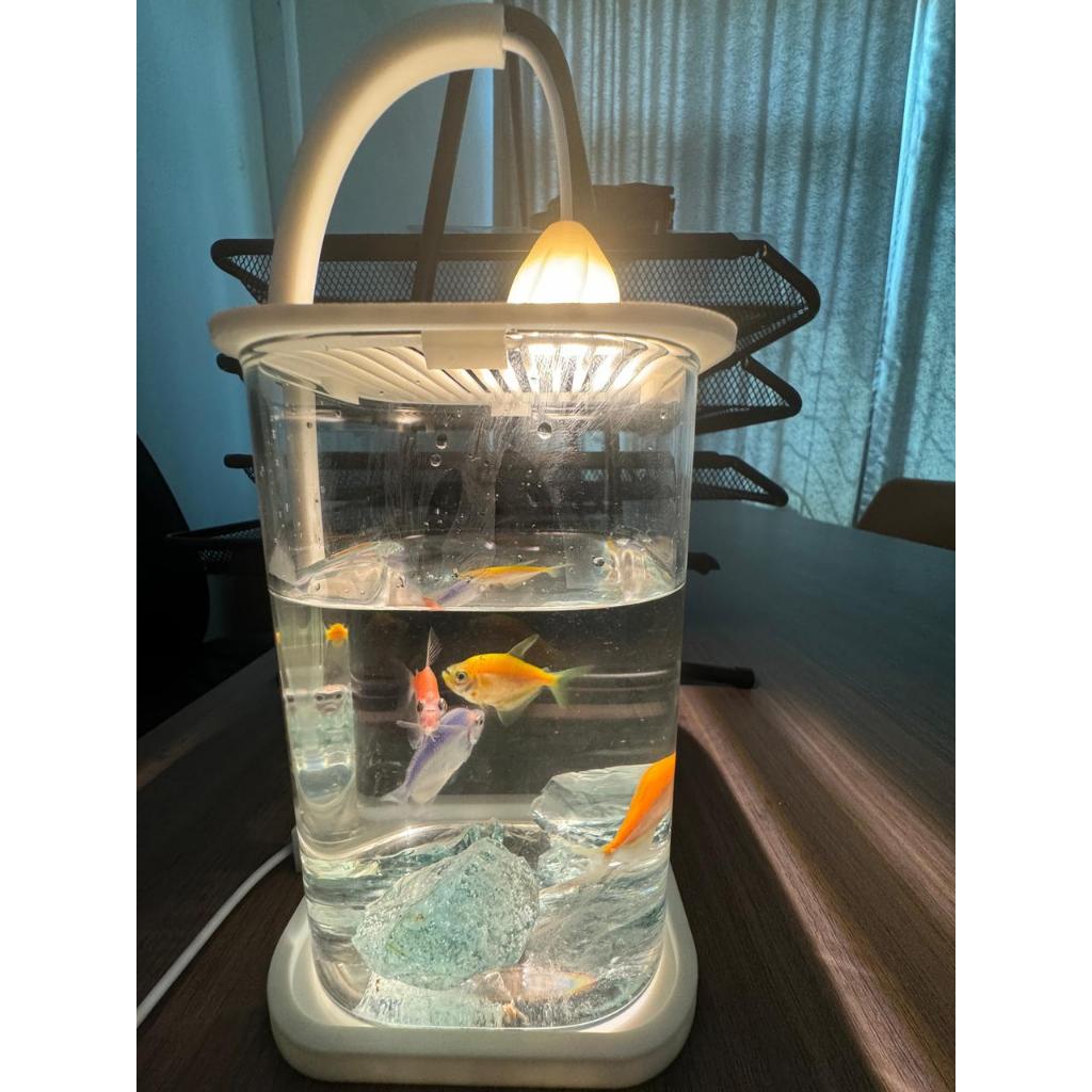 (BISA COD) Aquarium Kaca Ikan Hias Aquarium Mini Bahan Kaca 10x10x15cm Bonus Batu Hias Seser dan Lam