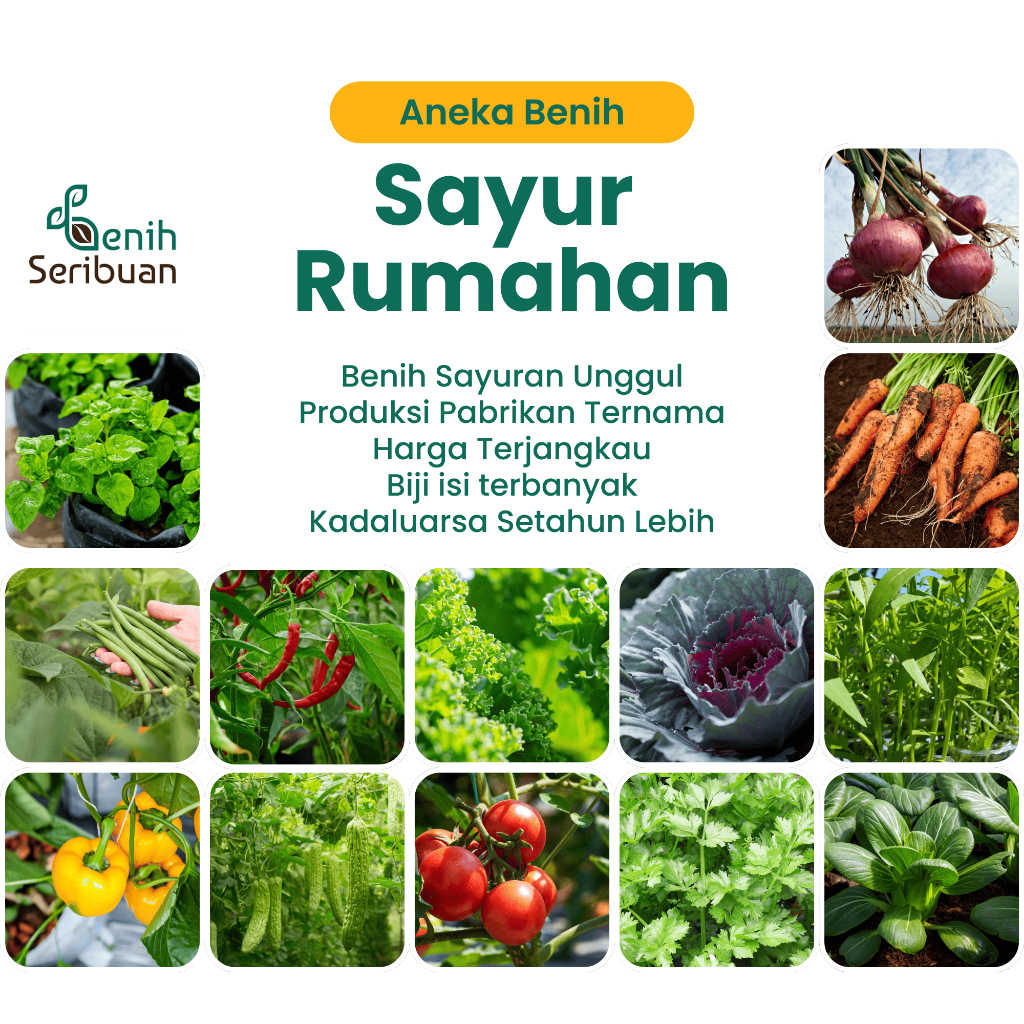 Benih Seribuan: Paket Lengkap Sayuran Unggulan