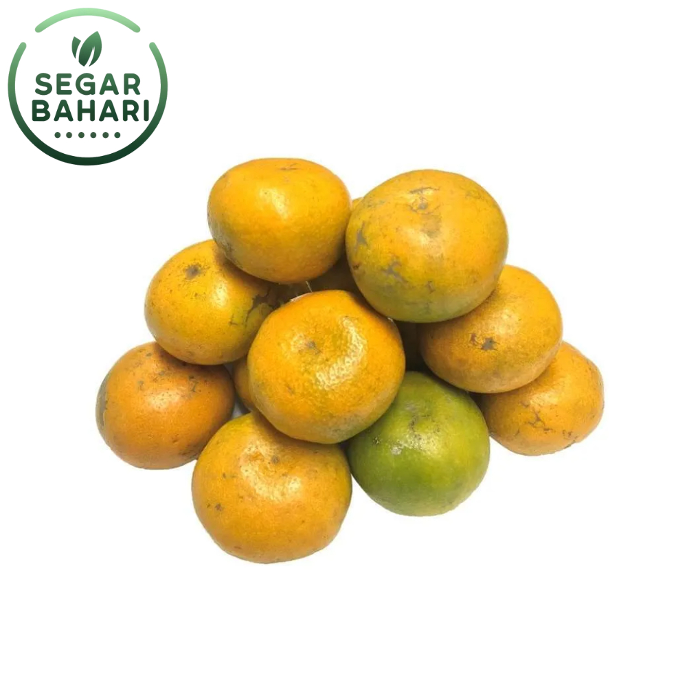 

Segar Bahari Jeruk Medan 1Kg