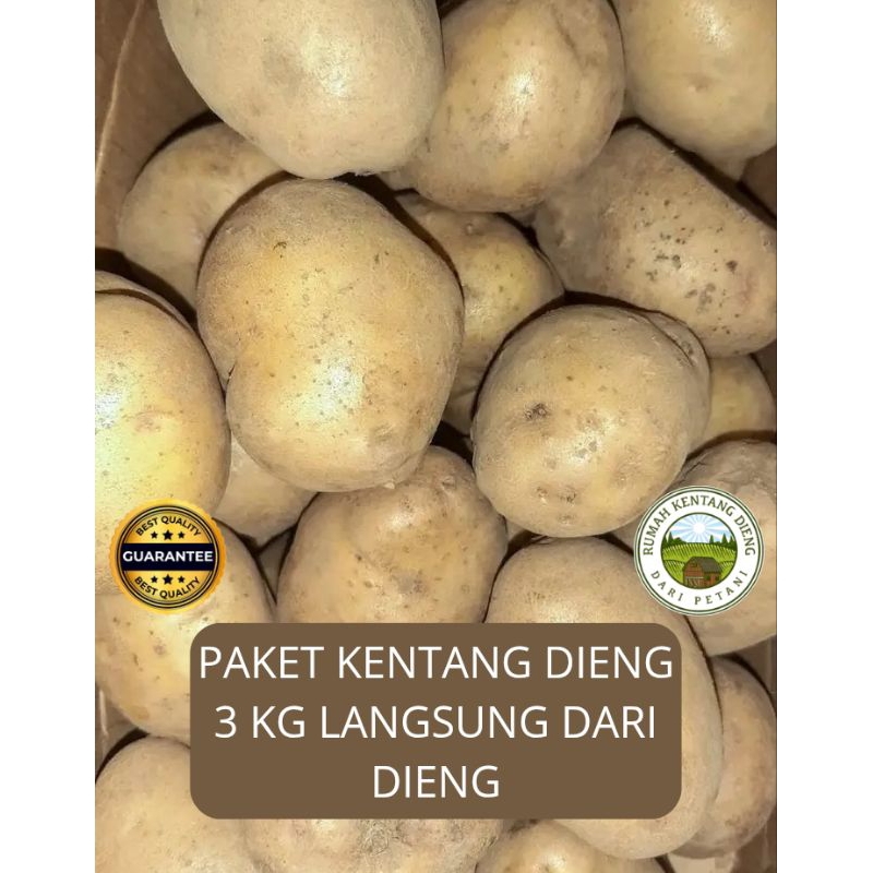 

Paket Kentang Dieng Sedang 3kg langsung dari petani