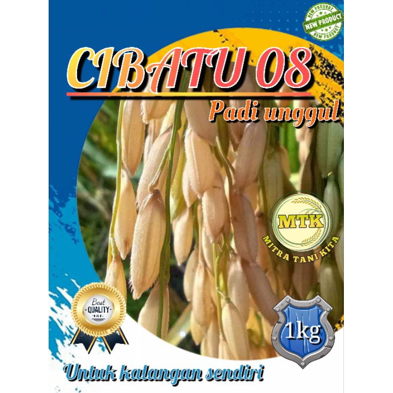 BENIH PADI CIBATU 08 KEMASAN 1KG ORIGINAL