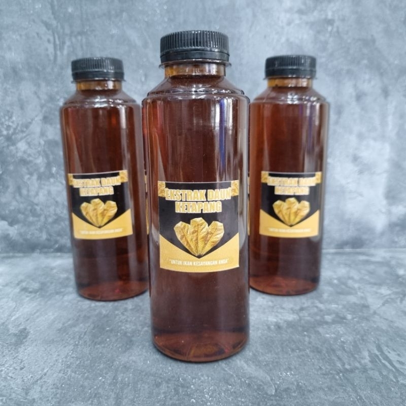 Air Ekstrak Ketapang Untuk Cupang