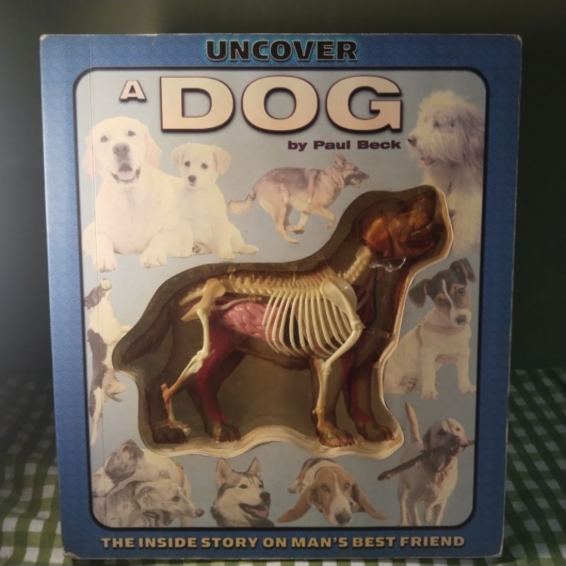 Buku anak Uncover A DOG by Paul Beck
