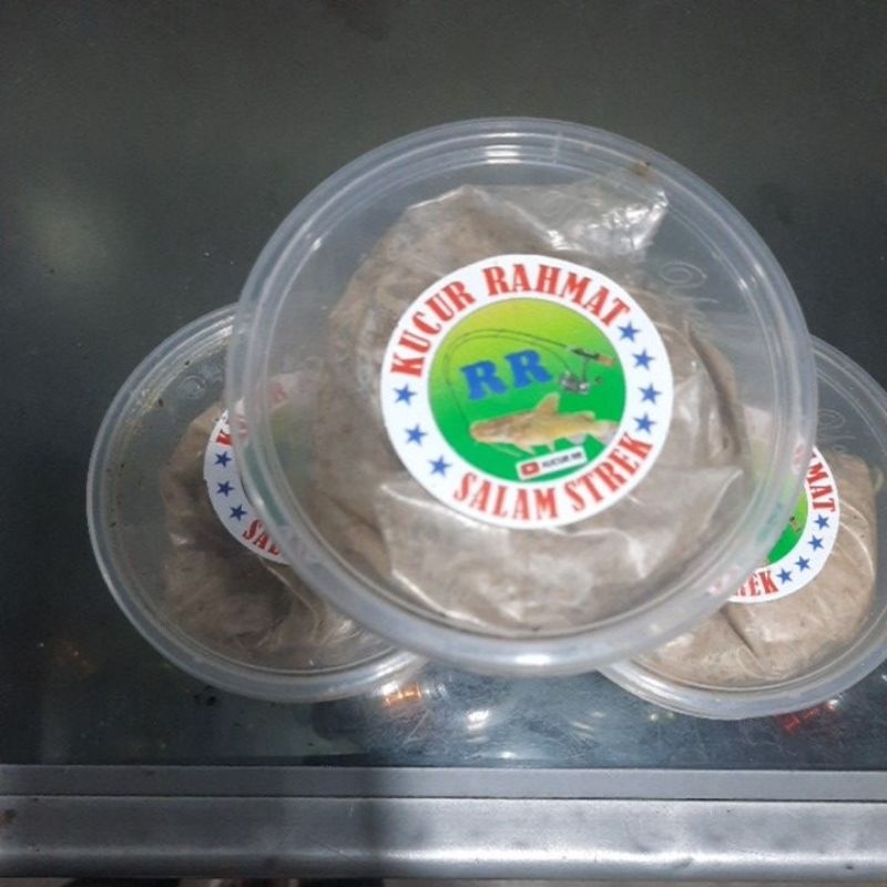 umpan kucur rahmat RR