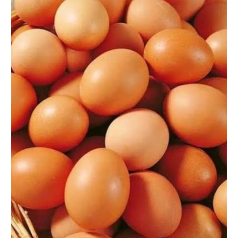 

Telur Ayam Bandung Minimal 1 KG Grade A