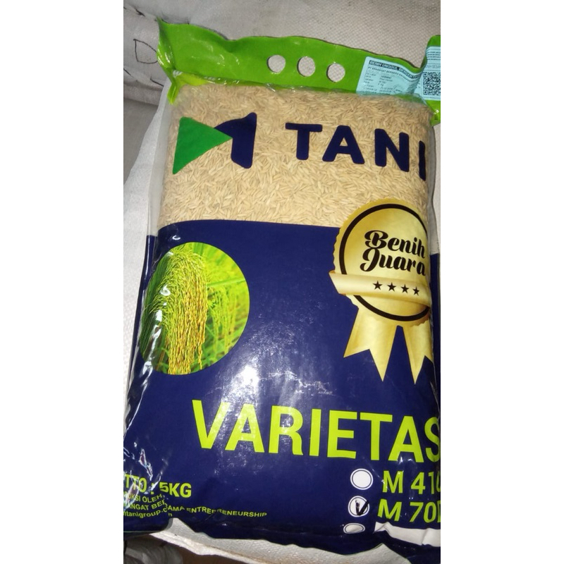 BENIH PADI M70 D M Tani GENJAH UMUR PENDEK EXP. APRIL 2026