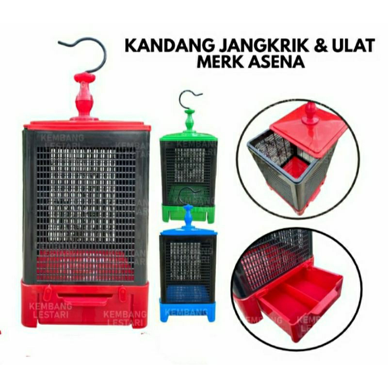 Kandang Jangkrik Plus Uler Ulat Asena Original